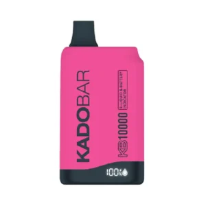 Strawberry Slushy KB10000 Zero Nicotine